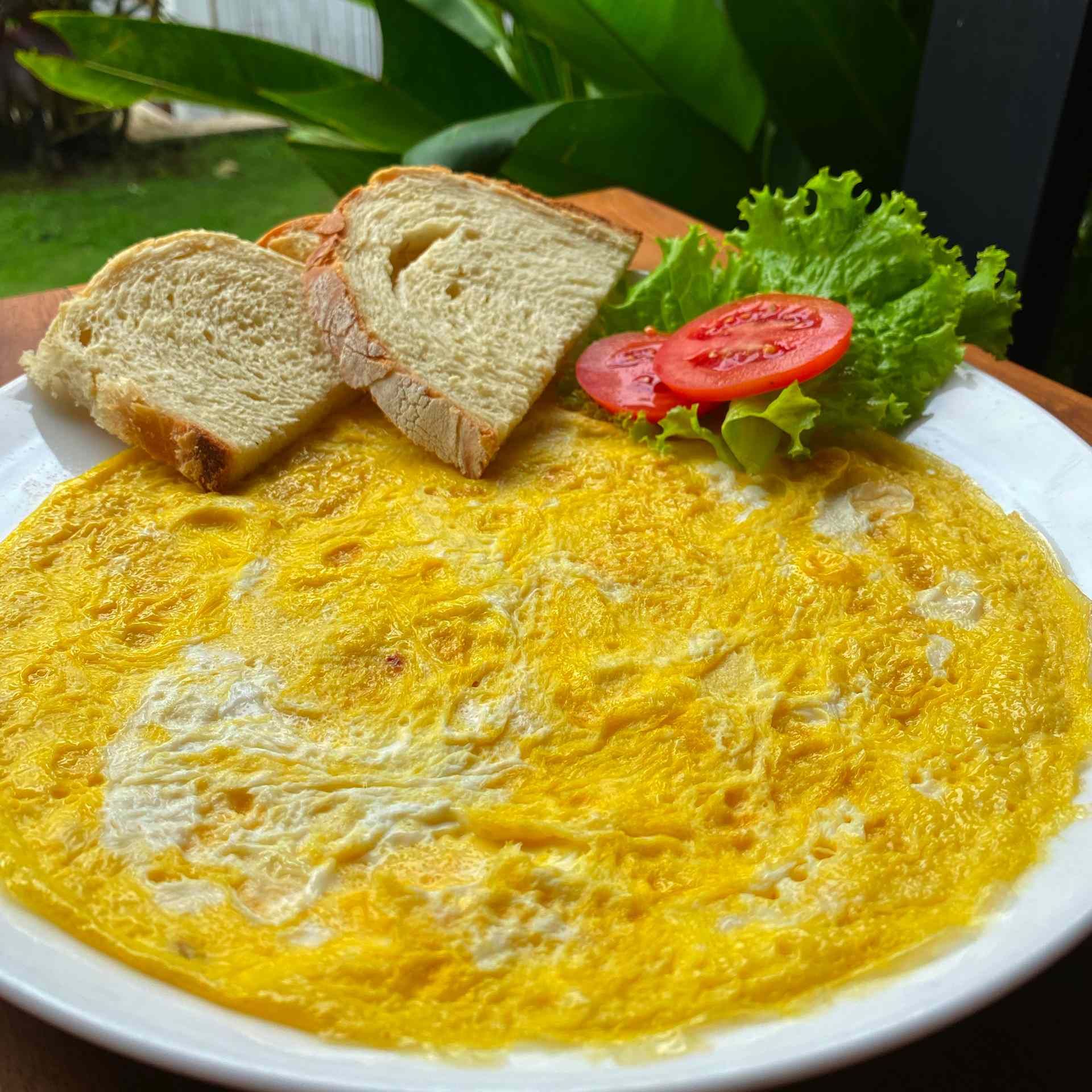 plain omelette