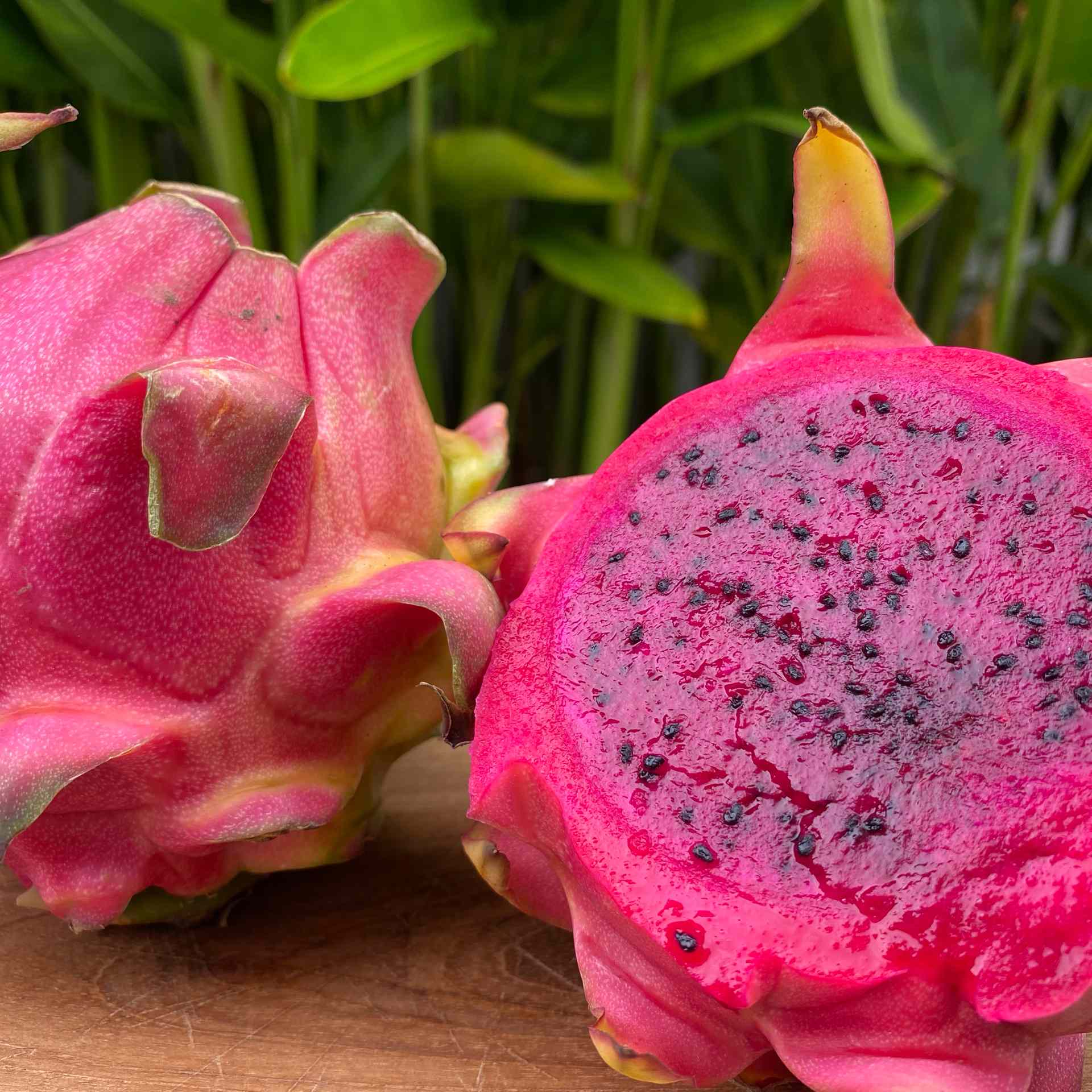 dragon fruit